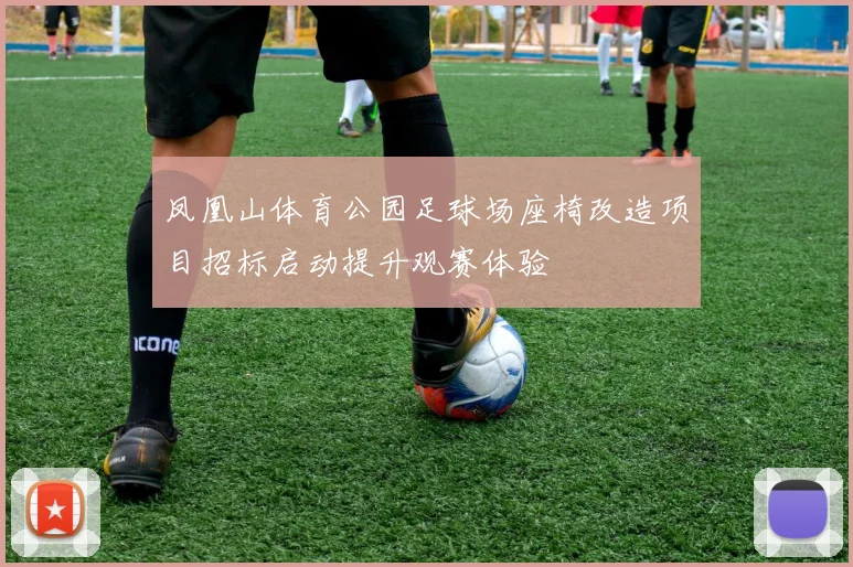 凤凰山体育公园足球场座椅改造项目招标启动提升观赛体验